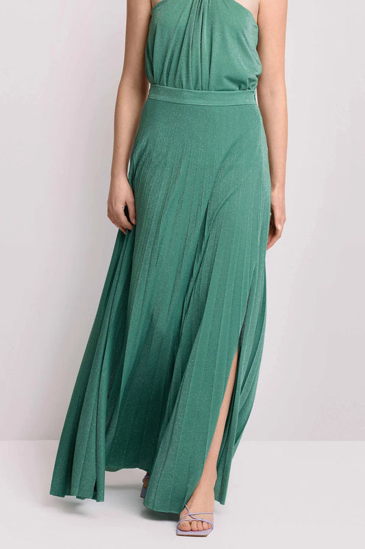 Koccagonnalungaplissefrontale